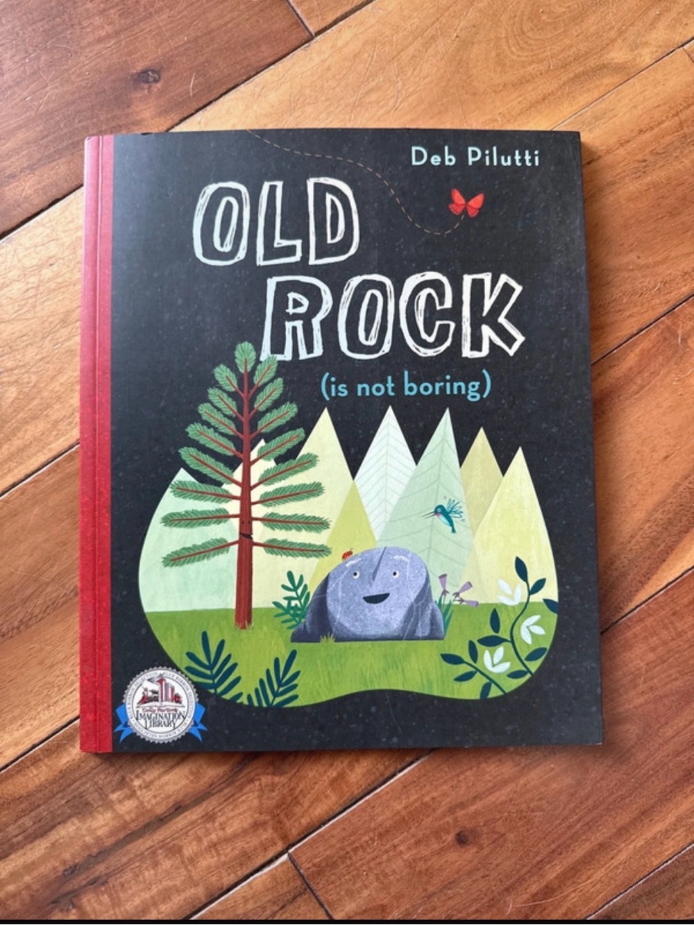 Old Rock (is not boring) - Kids Picture Book by - Deb Pilutti